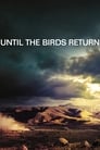 Когда вернутся птицы (2017)
