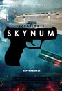 Смотреть «Defusion 3: Skynum» онлайн фильм в хорошем качестве