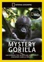 Смотреть «Тайна горилл» онлайн сериал в хорошем качестве