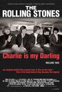 Смотреть «The Rolling Stones: Чарли — моя лапочка» онлайн фильм в хорошем качестве