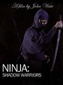 Смотреть «Ниндзя: Воины-тени» онлайн фильм в хорошем качестве
