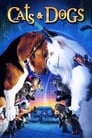 Кошки против собак (2001) трейлер фильма в хорошем качестве 1080p