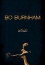 Смотреть «Бо Бернем: Что.» онлайн фильм в хорошем качестве