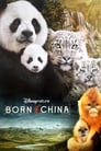 Смотреть «Рождённые в Китае» онлайн фильм в хорошем качестве