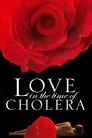 Любовь во время холеры (2007)
