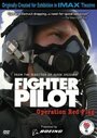 Боевые пилоты: Операция &laquo;Красный флаг&raquo; (2004)