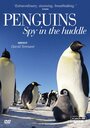 Пингвины: Шпион в толпе (2013) кадры фильма смотреть онлайн в хорошем качестве