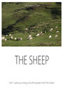 Смотреть «Овцы» онлайн фильм в хорошем качестве