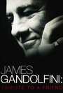 James Gandolfini: Tribute to a Friend (2013) скачать бесплатно в хорошем качестве без регистрации и смс 1080p