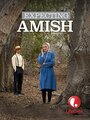 Смотреть «Ожидая амишей» онлайн фильм в хорошем качестве