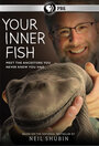 Смотреть «Внутренняя рыба» онлайн сериал в хорошем качестве