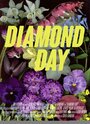 Смотреть «Diamond Day» онлайн фильм в хорошем качестве