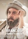 Brancusi Din Eternitate (2014)