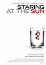 Staring at the Sun (2005) скачать бесплатно в хорошем качестве без регистрации и смс 1080p