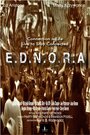 Смотреть «E.D.N.O.R.A.» онлайн фильм в хорошем качестве