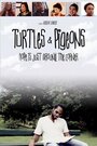 Смотреть «Turtles & Pigeons» онлайн фильм в хорошем качестве