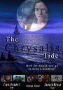 The Chrysalis Tide (2015) скачать бесплатно в хорошем качестве без регистрации и смс 1080p