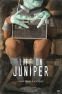 Life on Juniper (2015) трейлер фильма в хорошем качестве 1080p