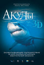 Смотреть «Акулы 3D» онлайн фильм в хорошем качестве