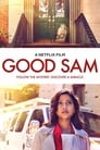 Смотреть «В поисках доброго самаритянина» онлайн фильм в хорошем качестве