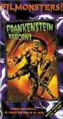 Возрожденный Франкенштейн (1998) скачать бесплатно в хорошем качестве без регистрации и смс 1080p