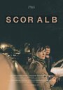 Смотреть «Scor Alb» онлайн фильм в хорошем качестве