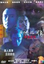 San sam long ji foon cheung tou foo (2000)