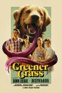 Смотреть «Greener Grass» онлайн фильм в хорошем качестве