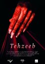 Tehzeeb (2015) скачать бесплатно в хорошем качестве без регистрации и смс 1080p