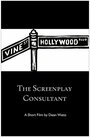 Смотреть «The Screenplay Consultant» онлайн фильм в хорошем качестве