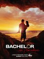 Bachelor in Paradise (2014) трейлер фильма в хорошем качестве 1080p