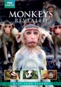 Все о мире обезьян (2014)
