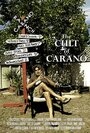 Смотреть «The Cult of Carano» онлайн фильм в хорошем качестве