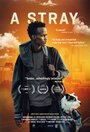 A Stray (2016) трейлер фильма в хорошем качестве 1080p