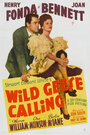 Смотреть «Wild Geese Calling» онлайн фильм в хорошем качестве