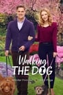 Прогулка с собакой (2017) кадры фильма смотреть онлайн в хорошем качестве