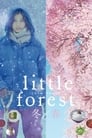 Небольшой лес: Зима и весна (2015) скачать бесплатно в хорошем качестве без регистрации и смс 1080p