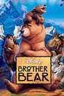 Братец медвежонок (2003) кадры фильма смотреть онлайн в хорошем качестве
