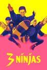 Три ниндзя (1992) трейлер фильма в хорошем качестве 1080p