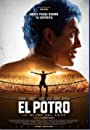 Эль Потро, рождённый любить (2018) кадры фильма смотреть онлайн в хорошем качестве