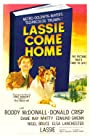 Лесси возвращается домой (1943)