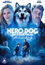 Смотреть «Собака-герой: путешествие домой» онлайн фильм в хорошем качестве