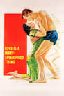 Любовь — самая великолепная вещь на свете (1955) кадры фильма смотреть онлайн в хорошем качестве