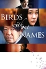 Смотреть «Птицы, которых она никогда не знала» онлайн фильм в хорошем качестве