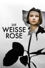Смотреть «Белая роза» онлайн фильм в хорошем качестве