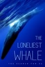 Самый одинокий кит на планете: в поисках Пятидесятидвухгерцового кита (2021)