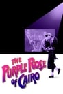 Пурпурная роза Каира (1985) трейлер фильма в хорошем качестве 1080p