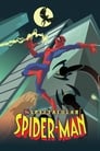 Грандиозный Человек-паук (2008) скачать бесплатно в хорошем качестве без регистрации и смс 1080p