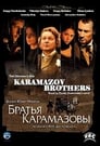 Братья Карамазовы (2008)