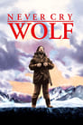 Не кричи «Волки!» (1983) скачать бесплатно в хорошем качестве без регистрации и смс 1080p